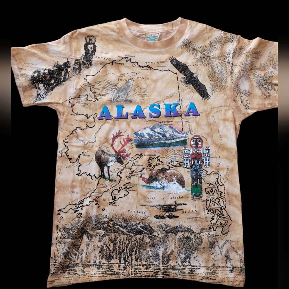 Alaska Map Vintage Allover Print Mens Large T Shirt